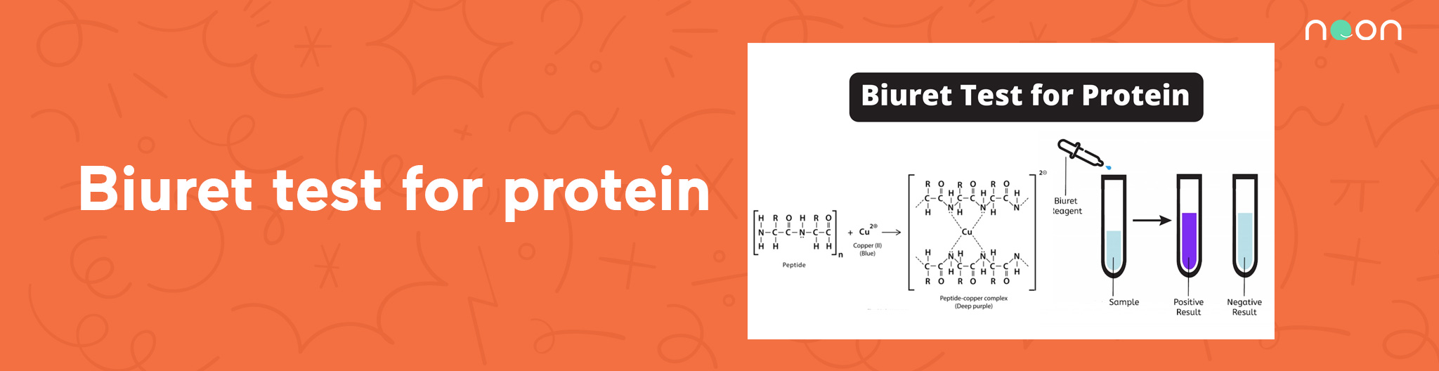 Biuret test for protein