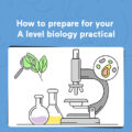 How to prepare for your A level biology practical