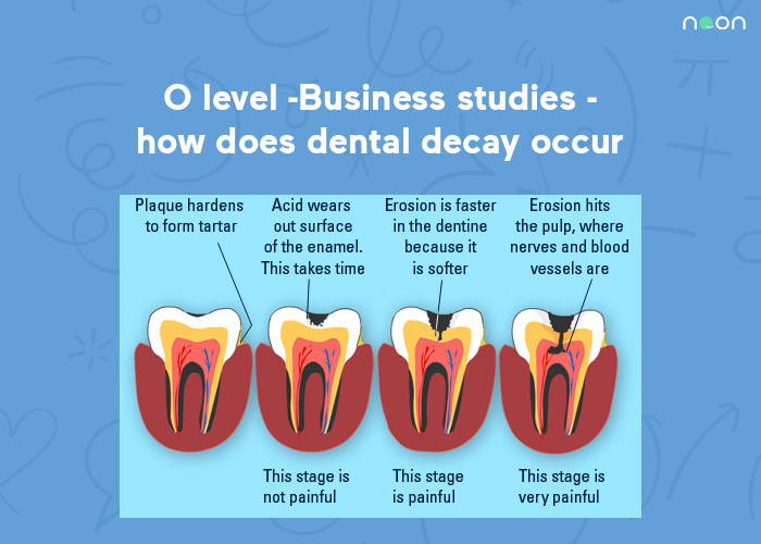 O level  - Business studies  - how does dental decay occur