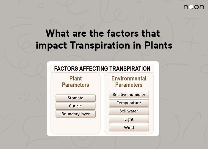 What are the factors that impact Transpiration in Plants