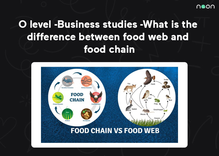 What is the difference between food web and food chain