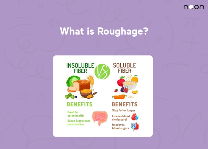 what-is-roughage