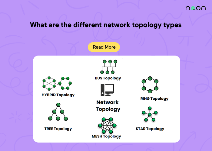 What are the different network topology types