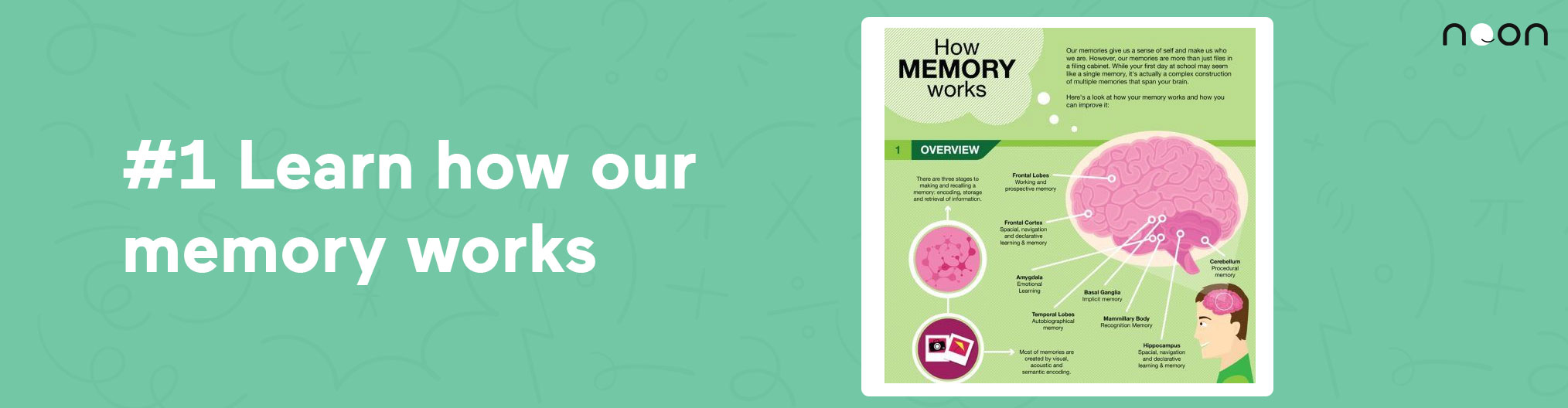Learn how our memory works