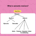 What is semantic memory