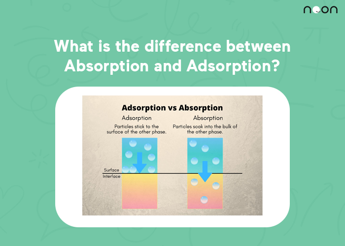 the difference between Absorption and Adsorption