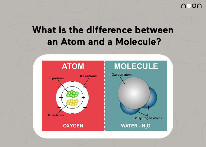 the difference between an Atom and a Molecule