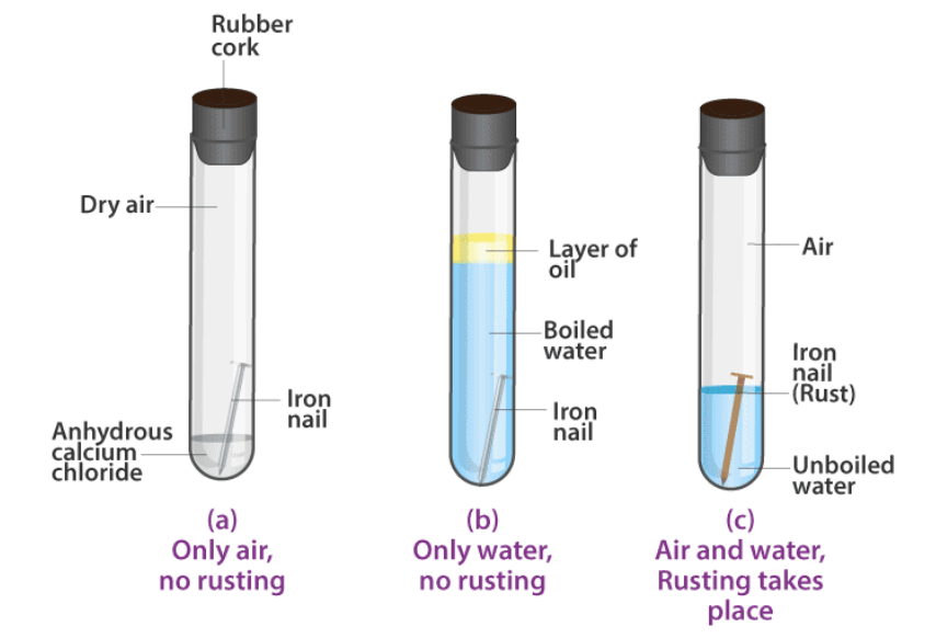 Ferroxyl Indicator To Demonstrate Rusting of Iron Nails | PDF
