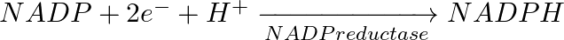 NADP+2{{e}^{-}}+{{H}^{+}}\xrightarrow[NADP reductase]{}NADPH